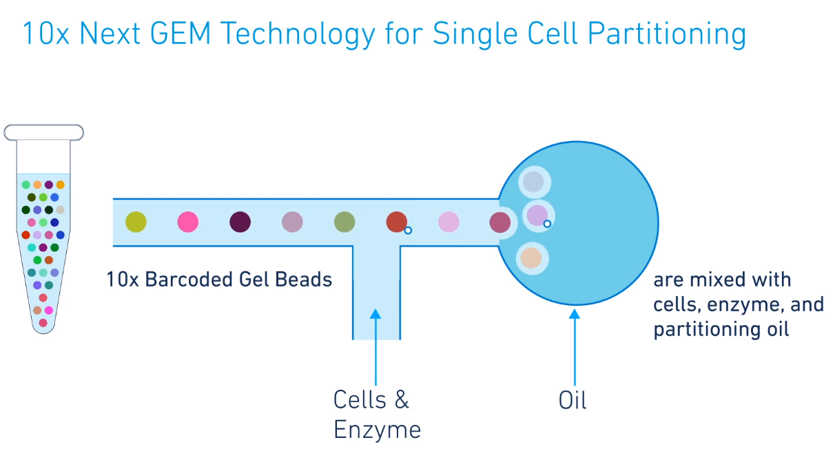 Cell sorting